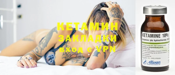 PSILOCYBIN Бородино