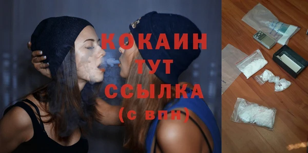 PSILOCYBIN Бородино