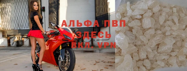 PSILOCYBIN Бородино