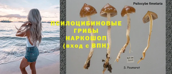 PSILOCYBIN Бородино