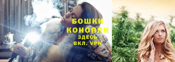 PSILOCYBIN Бородино